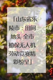 山东省乐陵市：田间地头 全市植保无人机劳动竞赛精彩纷呈