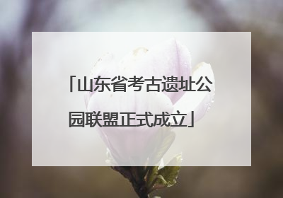 山东省考古遗址公园联盟正式成立