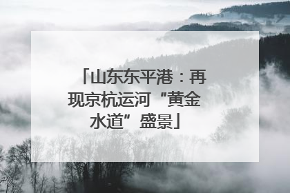 山东东平港：再现京杭运河“黄金水道”盛景