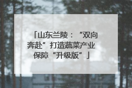 山东兰陵：“双向奔赴”打造蔬菜产业保障“升级版”