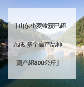 山东小麦收获已超九成 多个高产品种测产超800公斤