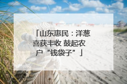 山东惠民：洋葱喜获丰收 鼓起农户“钱袋子”