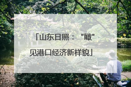 山东日照：“瞰”见港口经济新样貌