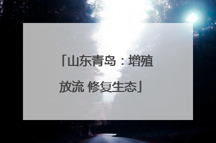 山东青岛：增殖放流 修复生态