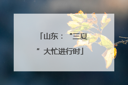 山东：“三夏”大忙进行时