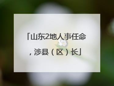 山东2地人事任命，涉县（区）长