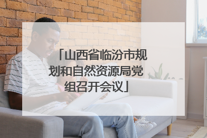 山西省临汾市规划和自然资源局党组召开会议