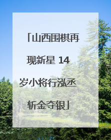 山西围棋再现新星 14岁小将行泓丞斩金夺银