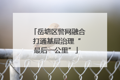 岳塘区警网融合 打通基层治理“最后一公里”