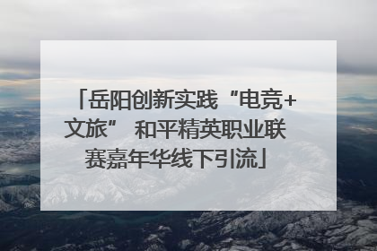 岳阳创新实践“电竞+文旅” 和平精英职业联赛嘉年华线下引流