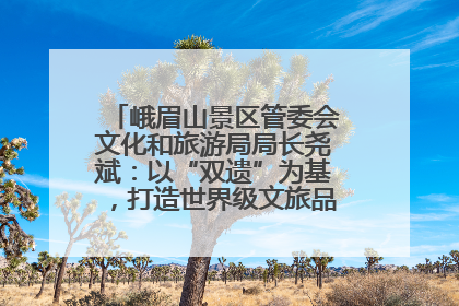 峨眉山景区管委会文化和旅游局局长尧斌：以“双遗”为基，打造世界级文旅品牌与国际典范