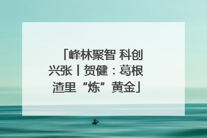 峰林聚智 科创兴张丨贺健：葛根渣里“炼”黄金