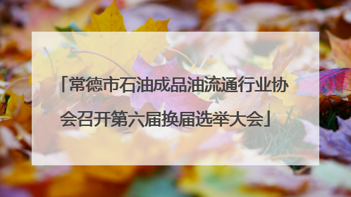 常德市石油成品油流通行业协会召开第六届换届选举大会