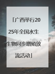 广西举行2025年全国水生生物同步增殖放流活动