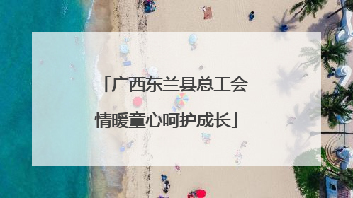 广西东兰县总工会情暖童心呵护成长