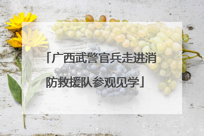 广西武警官兵走进消防救援队参观见学