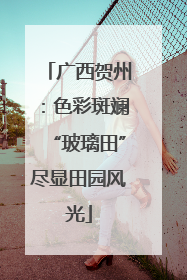 广西贺州：色彩斑斓“玻璃田”尽显田园风光