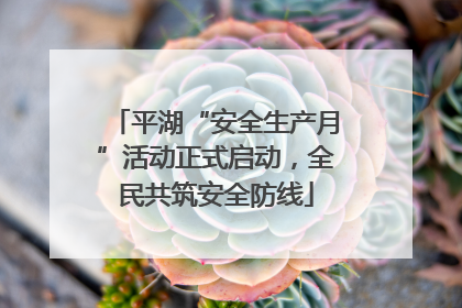 平湖“安全生产月”活动正式启动，全民共筑安全防线