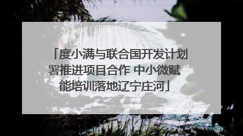 度小满与联合国开发计划署推进项目合作 中小微赋能培训落地辽宁庄河