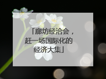廊坊经洽会，赶一场国际化的经济大集