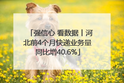 强信心 看数据丨河北前4个月快递业务量同比增40.6%