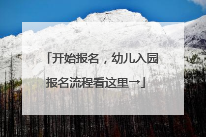 开始报名，幼儿入园报名流程看这里→