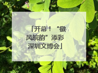 开幕！“徽风皖韵”添彩深圳文博会