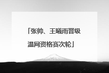 张帅、王曦雨晋级温网资格赛次轮