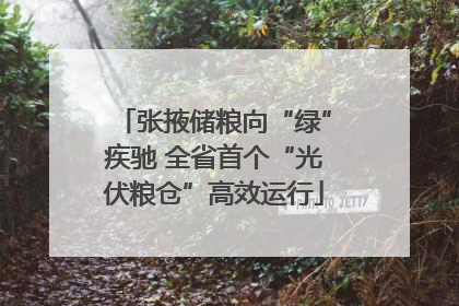 张掖储粮向“绿”疾驰 全省首个“光伏粮仓”高效运行