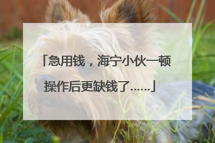 急用钱，海宁小伙一顿操作后更缺钱了……
