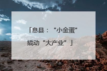 息县：“小金蛋”撬动“大产业”
