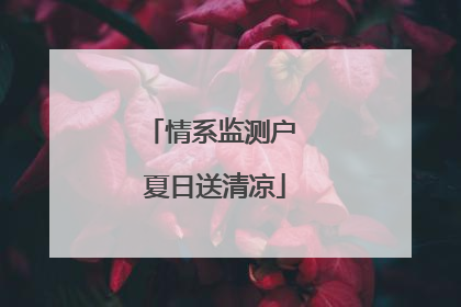 情系监测户 夏日送清凉