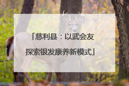 慈利县：以武会友 探索银发康养新模式