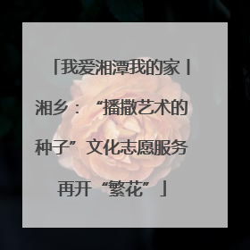 我爱湘潭我的家丨湘乡：“播撒艺术的种子”文化志愿服务再开“繁花”