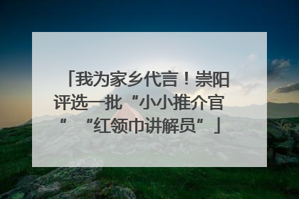 我为家乡代言！崇阳评选一批“小小推介官”“红领巾讲解员”