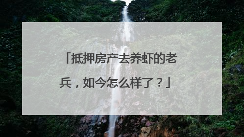 抵押房产去养虾的老兵，如今怎么样了？