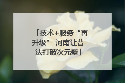 技术+服务“再升级” 河南让普法打破次元壁