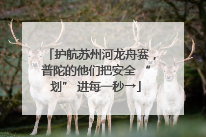 护航苏州河龙舟赛，普陀的他们把安全 “划” 进每一秒→