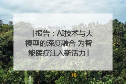 报告：AI技术与大模型的深度融合 为智能医疗注入新活力