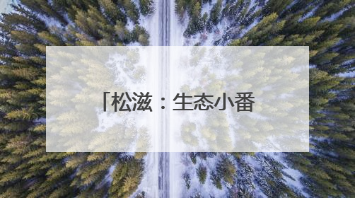 松滋：生态小番茄丰收 绿色农业助力农民增收
