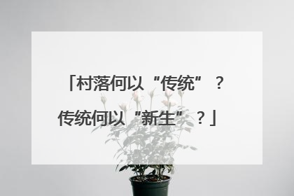 村落何以“传统”？传统何以“新生”？