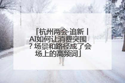 杭州两会·追新丨AI如何让消费突围？场景和路径成了会场上的高频词