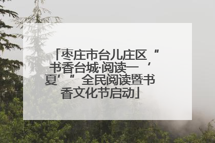 枣庄市台儿庄区“书香台城·阅读一‘夏’”全民阅读暨书香文化节启动