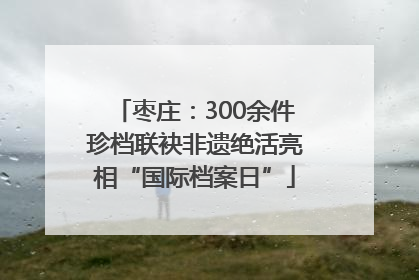 枣庄：300余件珍档联袂非遗绝活亮相“国际档案日”