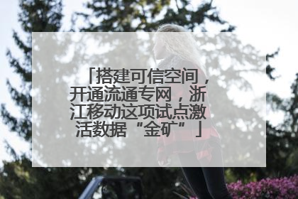 搭建可信空间，开通流通专网，浙江移动这项试点激活数据“金矿”
