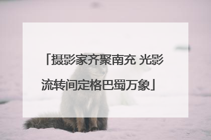摄影家齐聚南充 光影流转间定格巴蜀万象