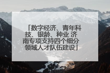 数字经济、青年科技、银龄、种业 济南专项支持四个细分领域人才队伍建设