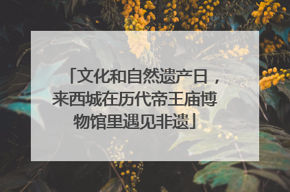 文化和自然遗产日，来西城在历代帝王庙博物馆里遇见非遗