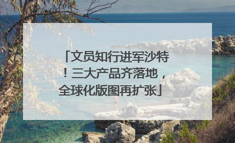 文员知行进军沙特！三大产品齐落地，全球化版图再扩张