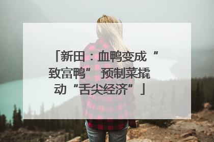新田：血鸭变成“致富鸭” 预制菜撬动“舌尖经济”